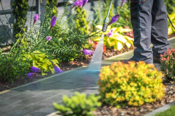 Best Fence Cleaning  in Hartford, AL
