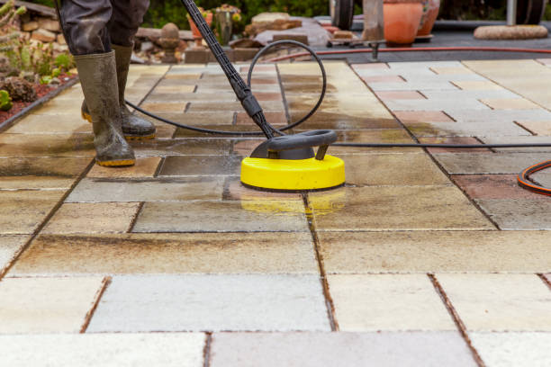 Animal Enclosure Cleaning in Hartford, AL