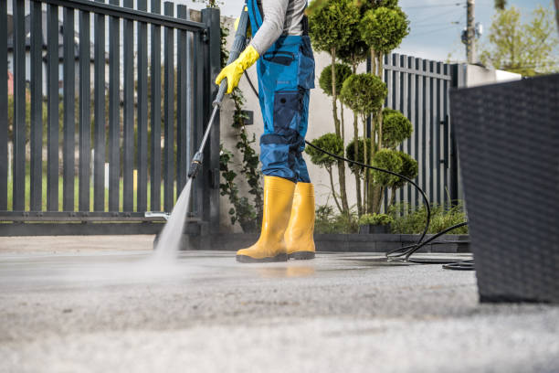Best Gutter Cleaning  in Hartford, AL